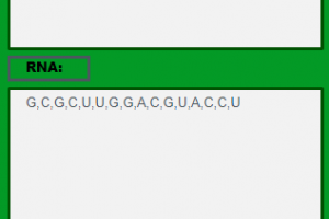 DNA Sequencer Screen