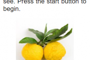 Fruit Clicker Screen