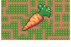 Carrot Maze Image